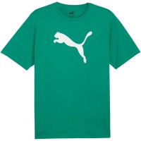 Men's T-shirt Puma Team Rise Logo Jersey Cotton green 658705 05