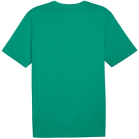 Men's T-shirt Puma Team Rise Logo Jersey Cotton green 658705 05