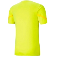 Men's T-shirt Puma teamFLASH ???ta 704394 23