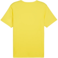 Men's T-shirt Puma teamRISE Matchday Jersey ???ta 706132 07