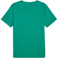 Men's T-shirt Puma teamRISE Matchday Jersey green 706132 05