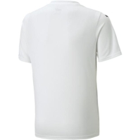 Puma Teamultimate Jersey Jr T-Shirt Boys