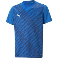 Puma Teamultimate Jersey Jr T-Shirt Boys