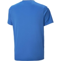 Puma Teamultimate Jersey Jr T-Shirt Boys