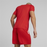 Puma Teamultimate Jersey T-Shirt Mens