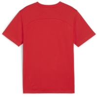 Puma Teamfinal Training Jersey Jr T-Shirt Boys