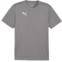 Puma Teamfinal Training Jersey T-Shirt Mens