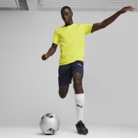 Puma Teamfinal Training Jersey T-Shirt Mens