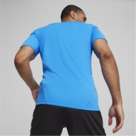 Puma Teamfinal Training Jersey T-Shirt Mens