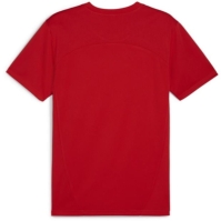 Puma Teamfinal Training Jersey T-Shirt Mens