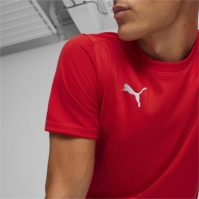 Puma Teamfinal Training Jersey T-Shirt Mens