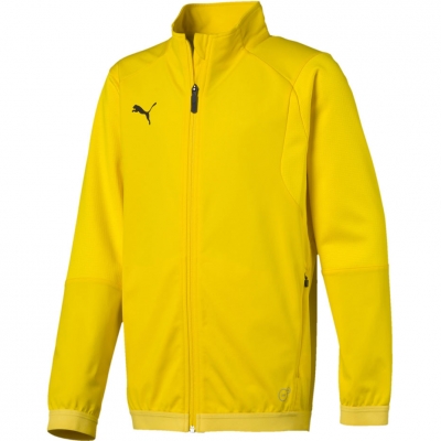 Boy's sweatshirt Puma Liga Training Jacket yellow 655688 07