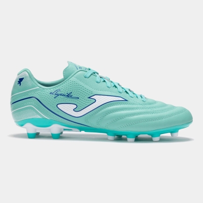 Aguila 2527 Turquoise Firm Ground