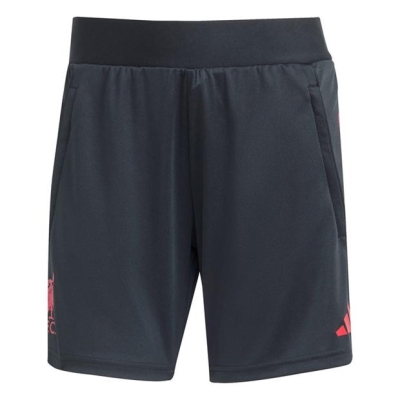 adidas Liverpool Training Shorts 2025 2026 Womens