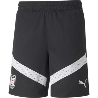 Puma Training Shorts