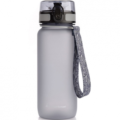 Meteor 650 ml water bottle gray 74576