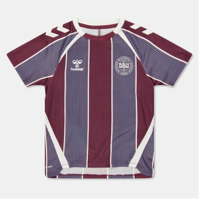 Hummel Denmark Pre Match Shirt 2025 Juniors