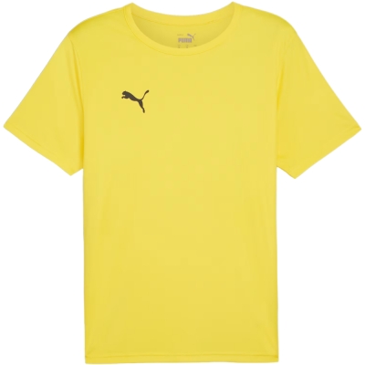 Men's T-shirt Puma teamRISE Matchday Jersey ???ta 706132 07