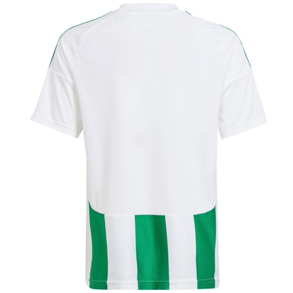 adidas Striped 24 white-green IW2138 kids' jersey