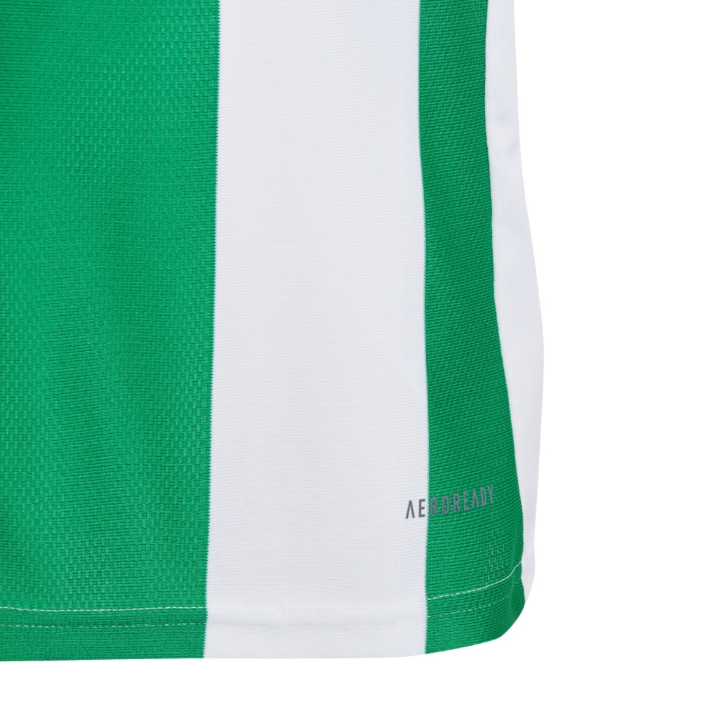 adidas Striped 24 white-green IW2138 kids' jersey