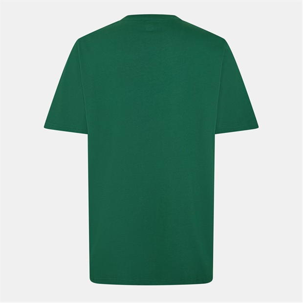 Castore Ireland Crest T-Shirt Mens