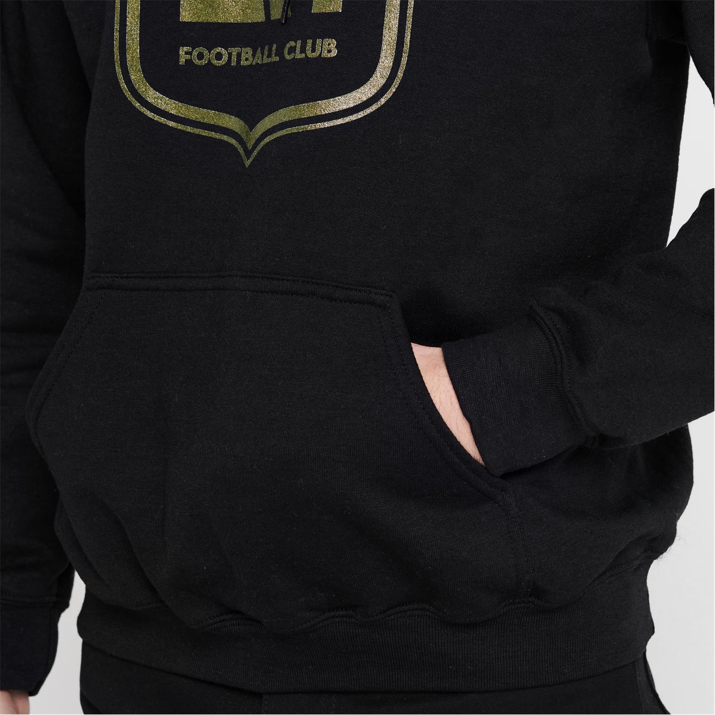 MLS Logo Hoodie Adults