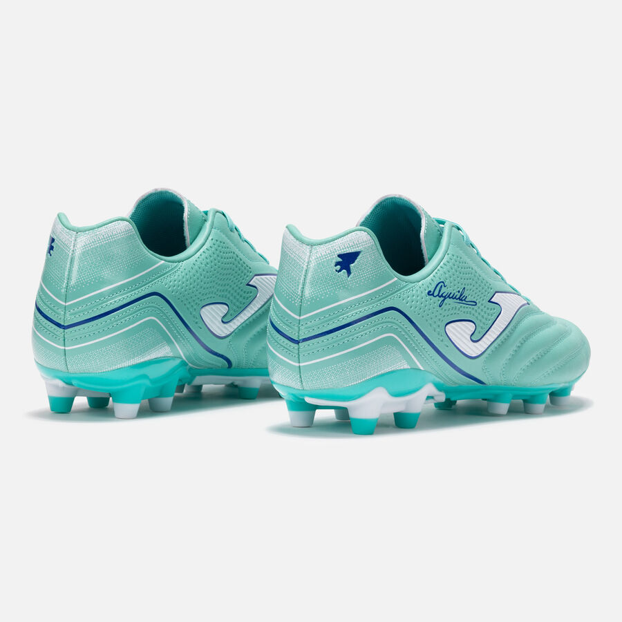 Aguila 2527 Turquoise Firm Ground