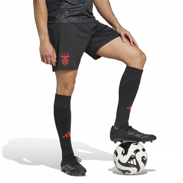 adidas Benfica Away Shorts 2024 2025 Adults