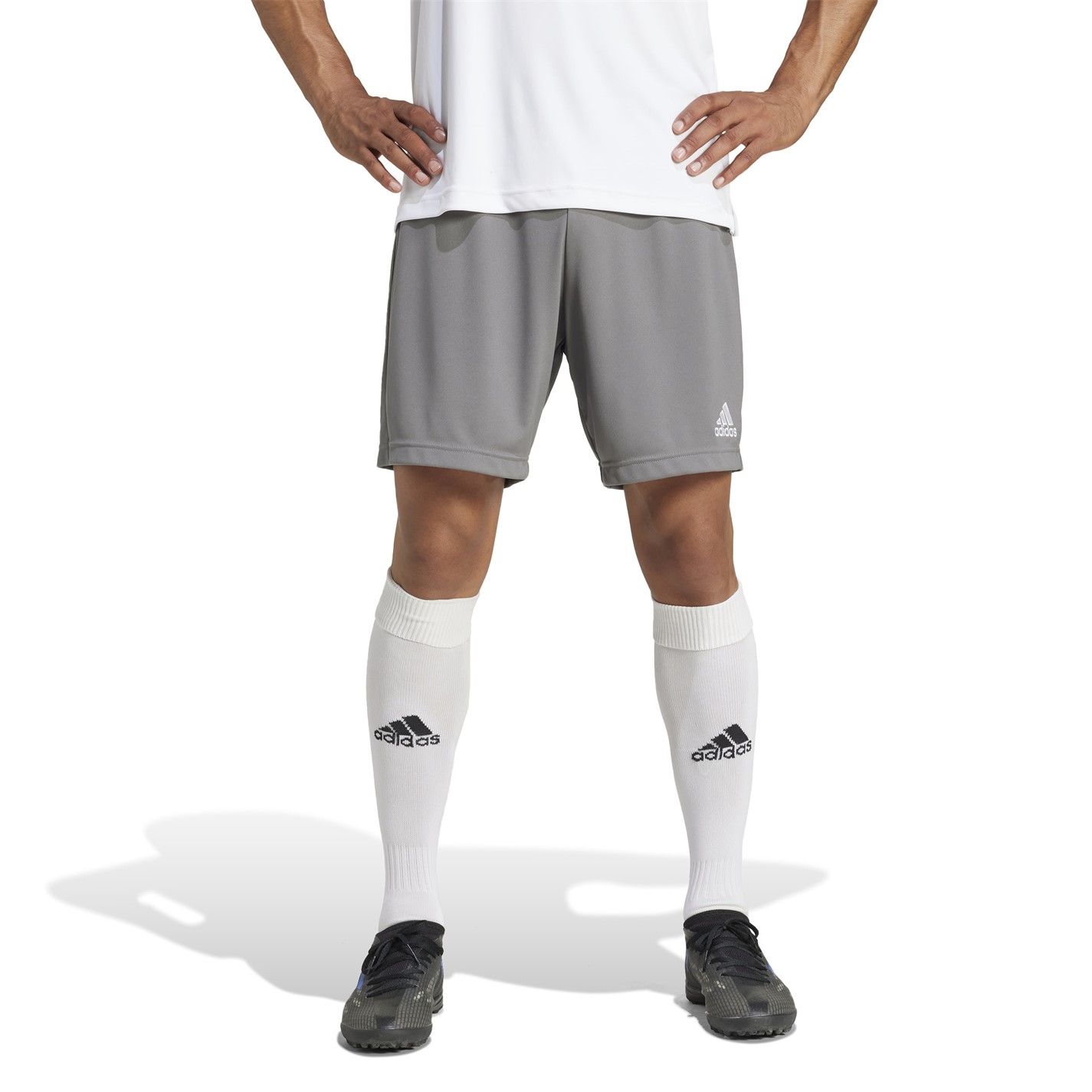 adidas Entrada 22 Shorts Mens