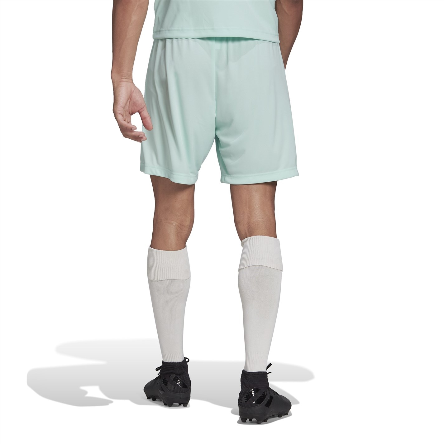 adidas Entrada 22 Shorts Mens