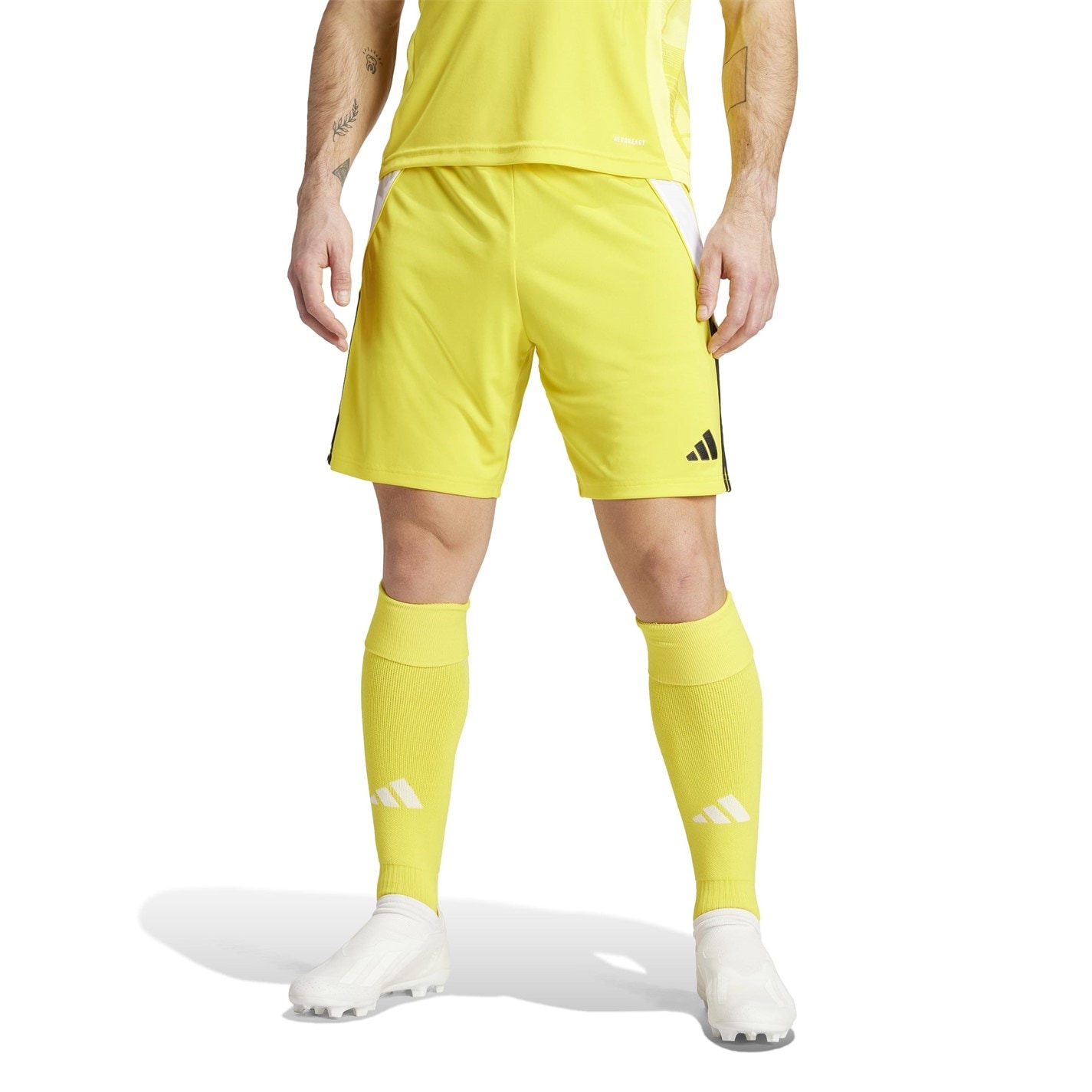 adidas Tiro 24 Shorts Mens