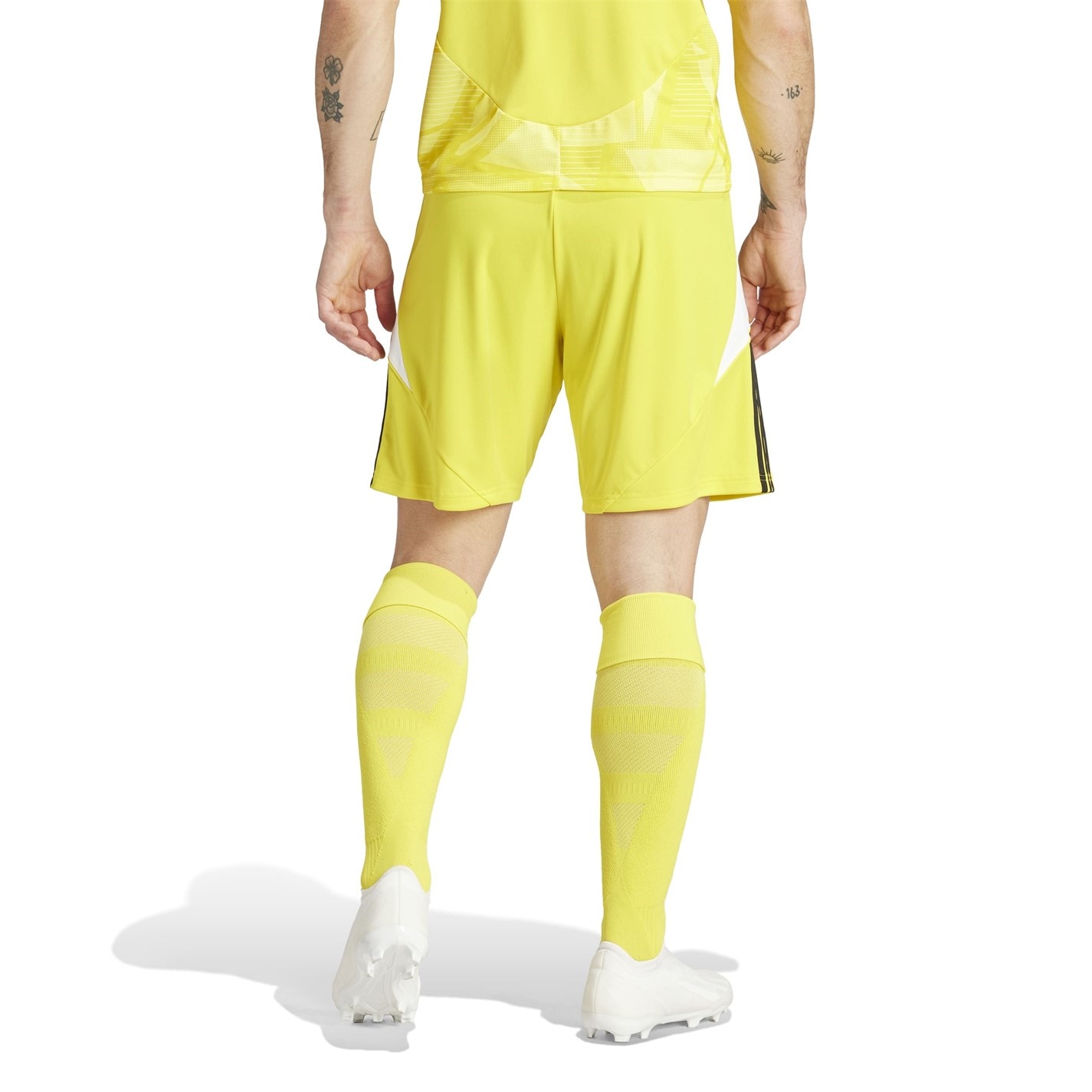 adidas Tiro 24 Shorts Mens