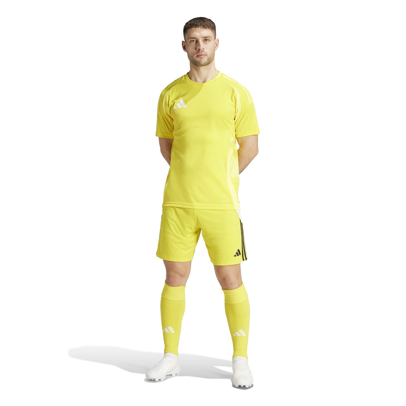 adidas Tiro 24 Shorts Mens