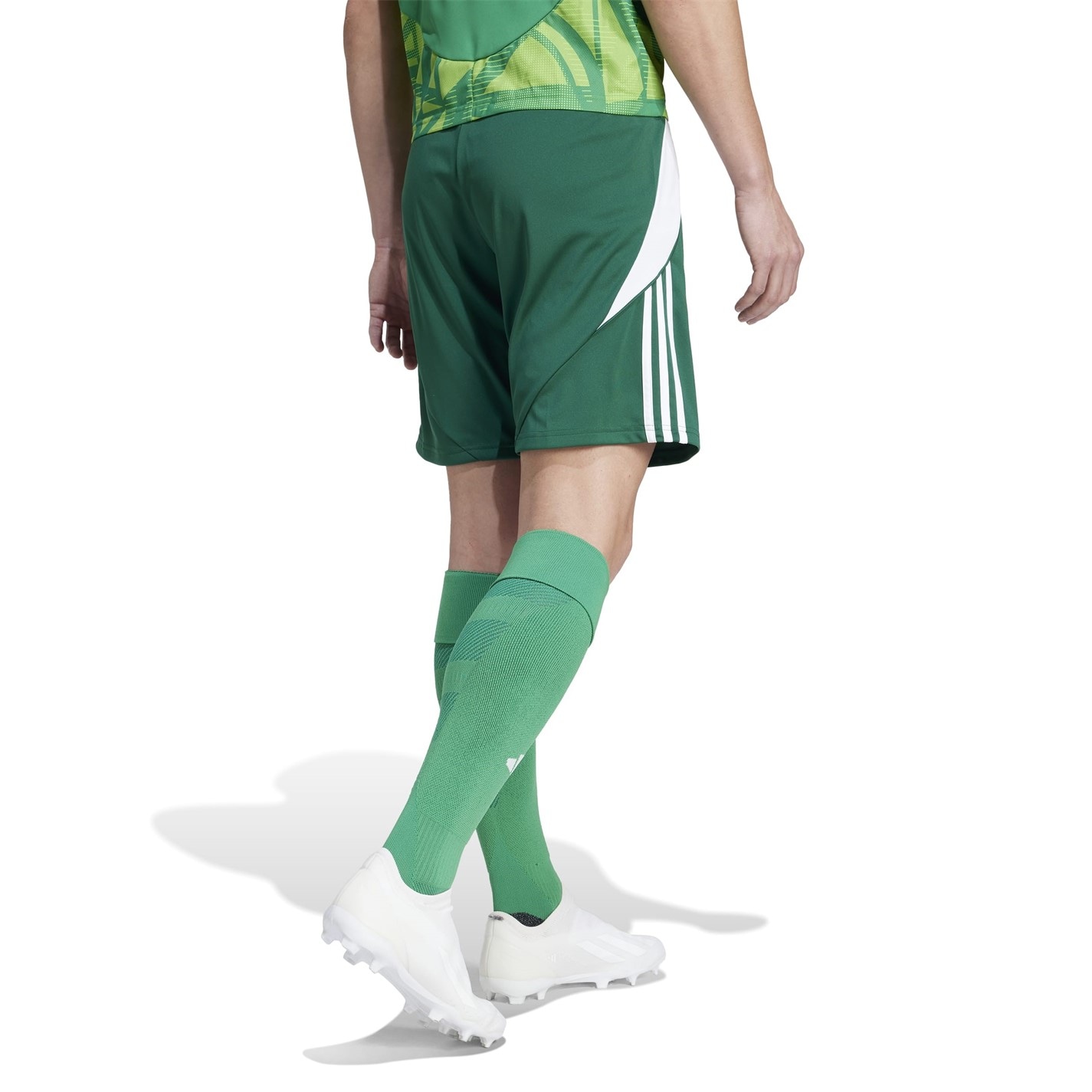 adidas Tiro 24 Shorts Mens
