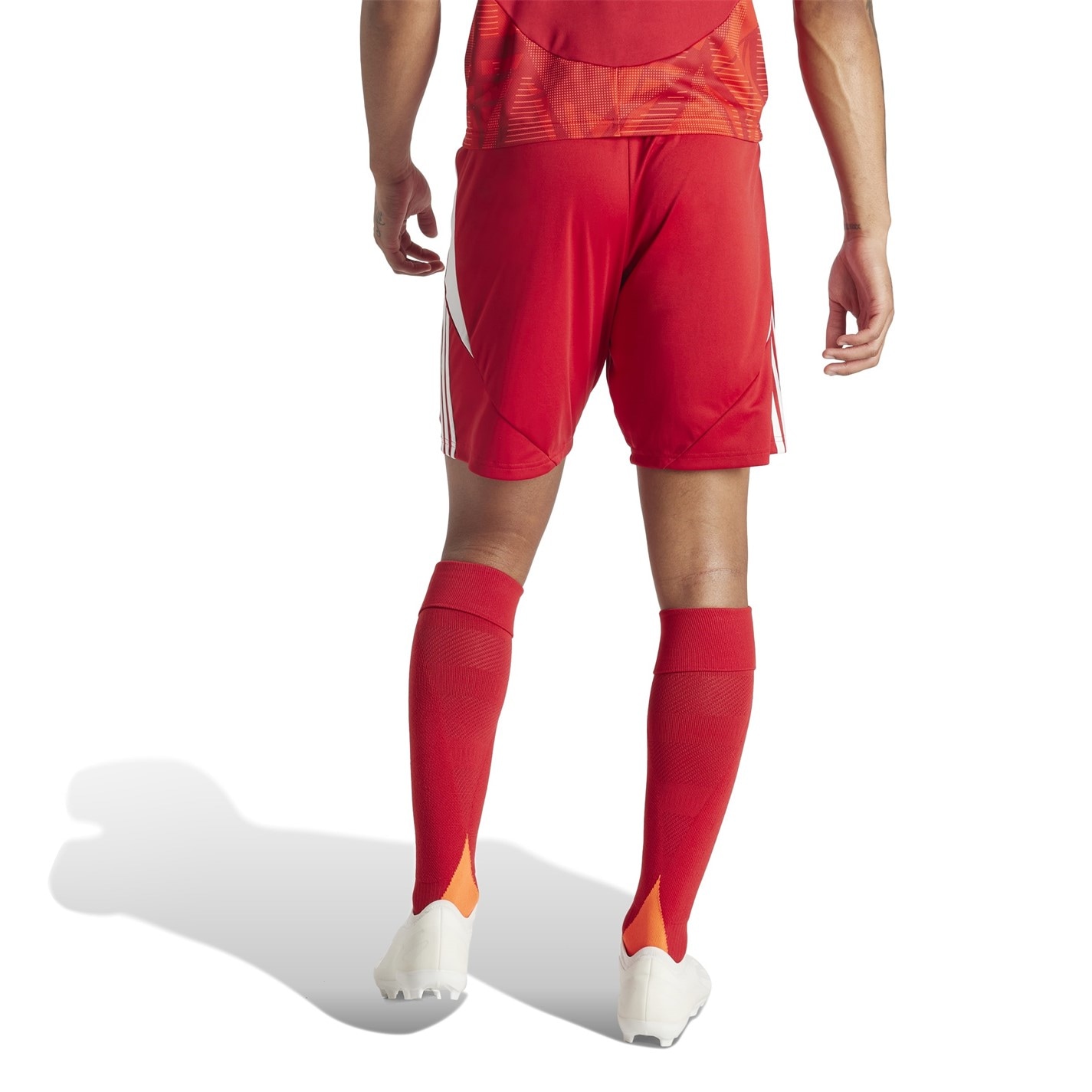 adidas Tiro 24 Shorts Mens