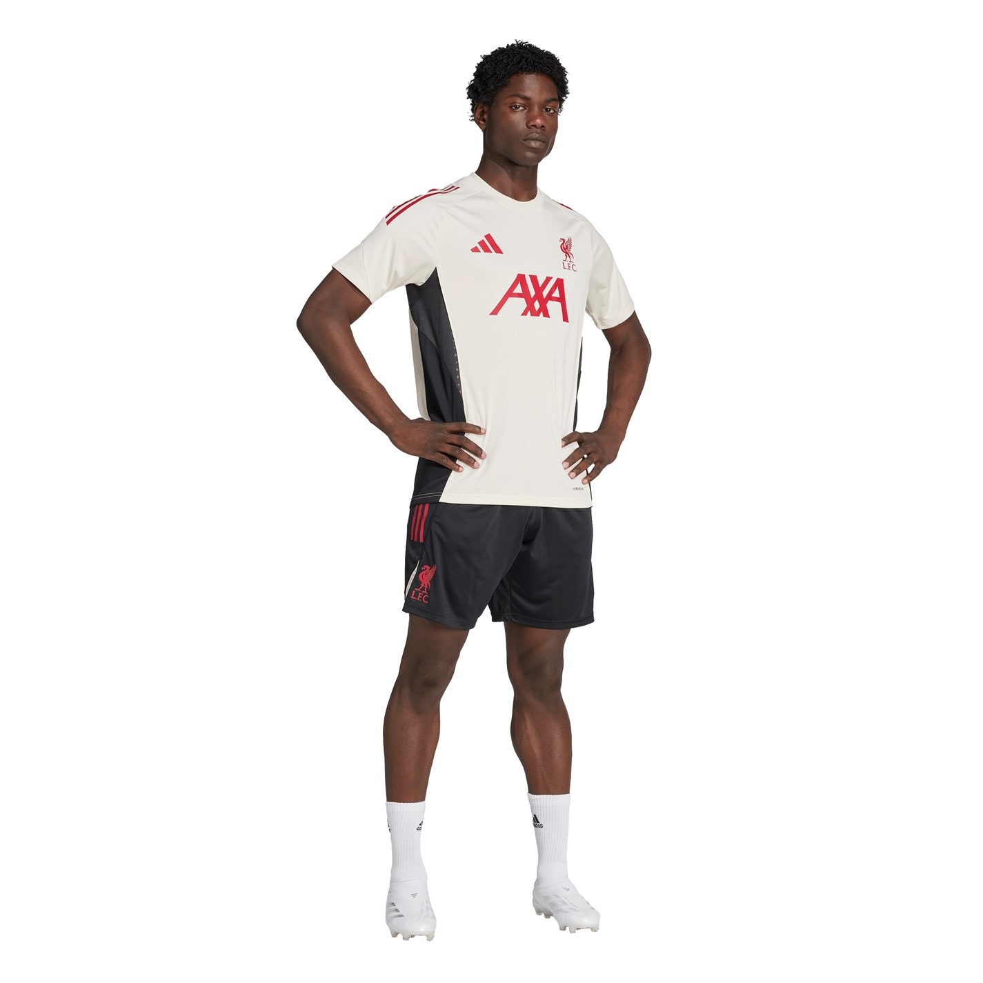 adidas Liverpool Training Shorts 2025 2026 Adults