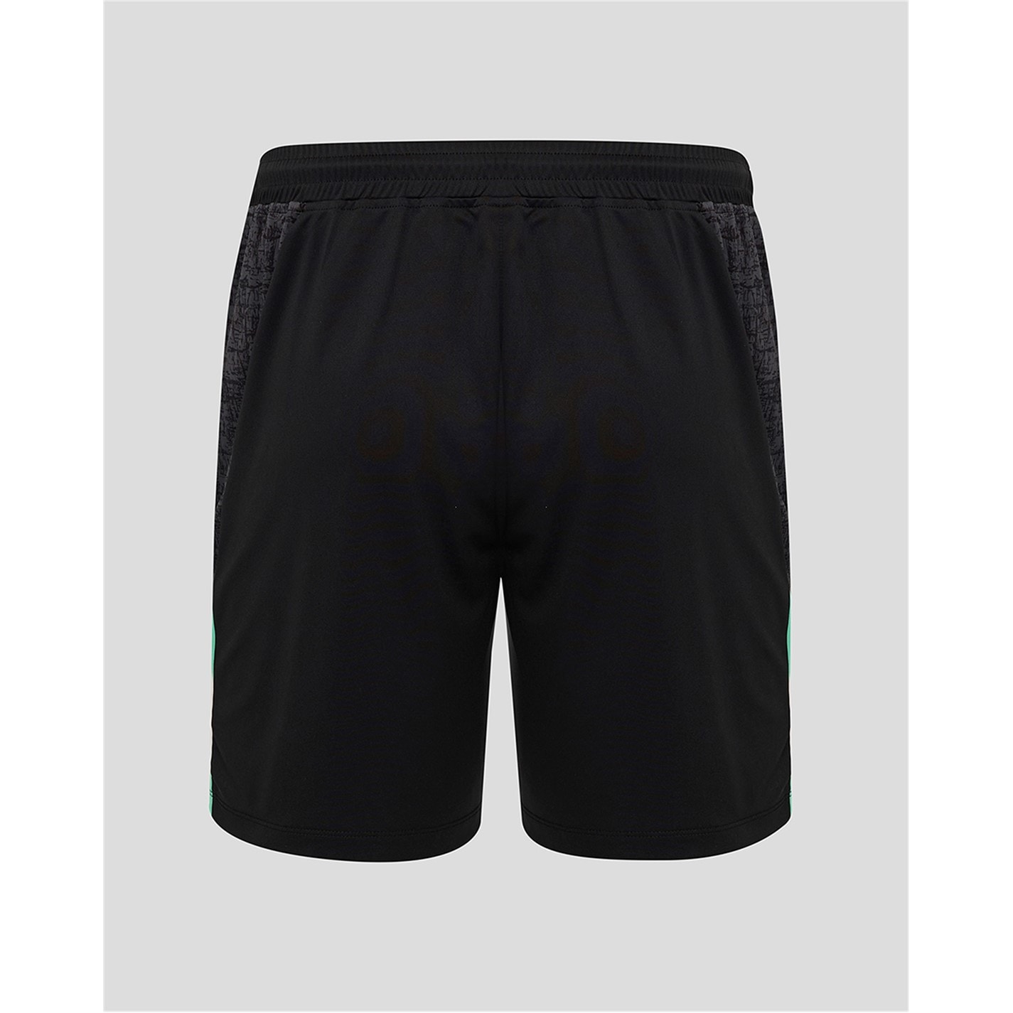 Castore Ireland Training Shorts 2025 Adults
