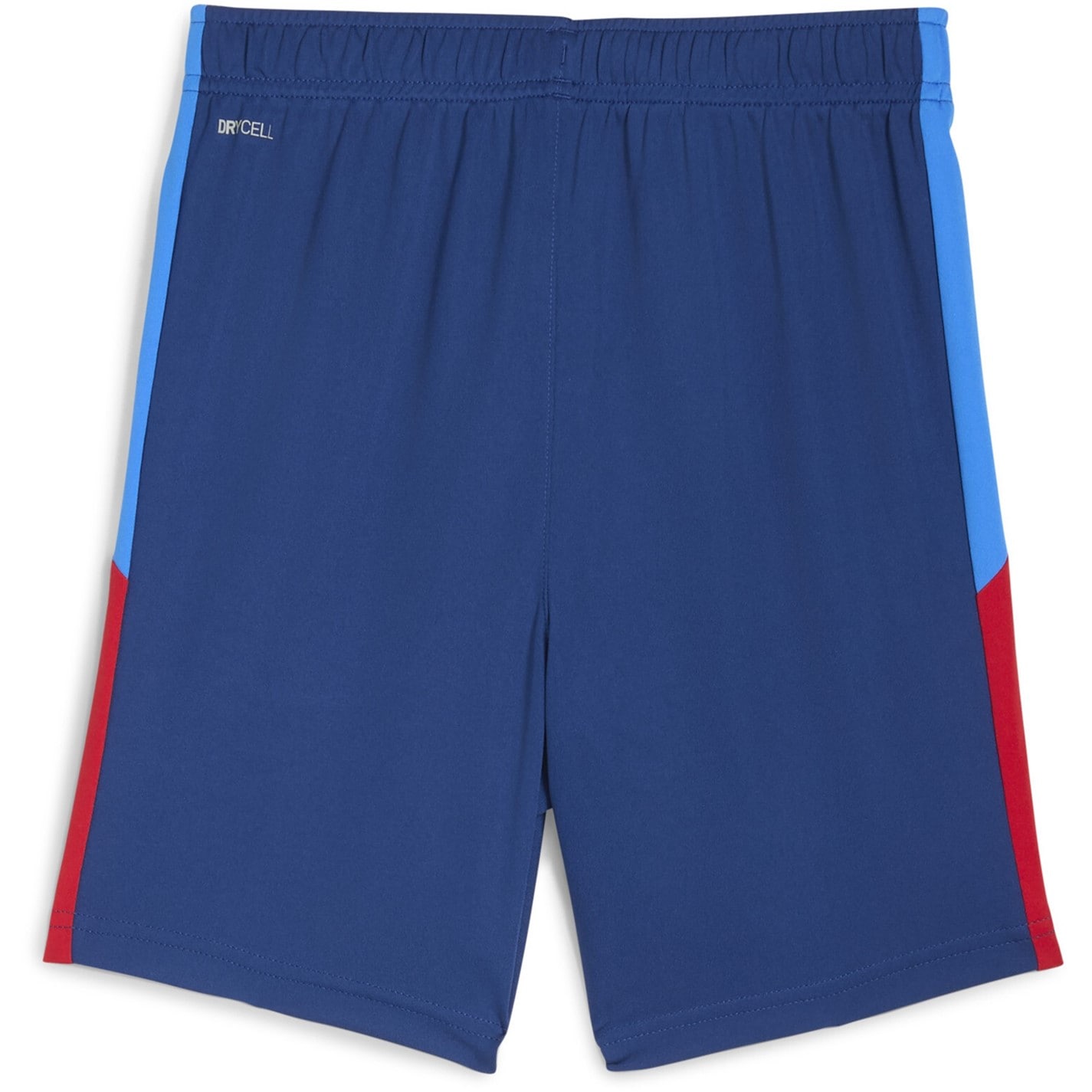 Puma Neymar Playmaker Training Shorts Juniors