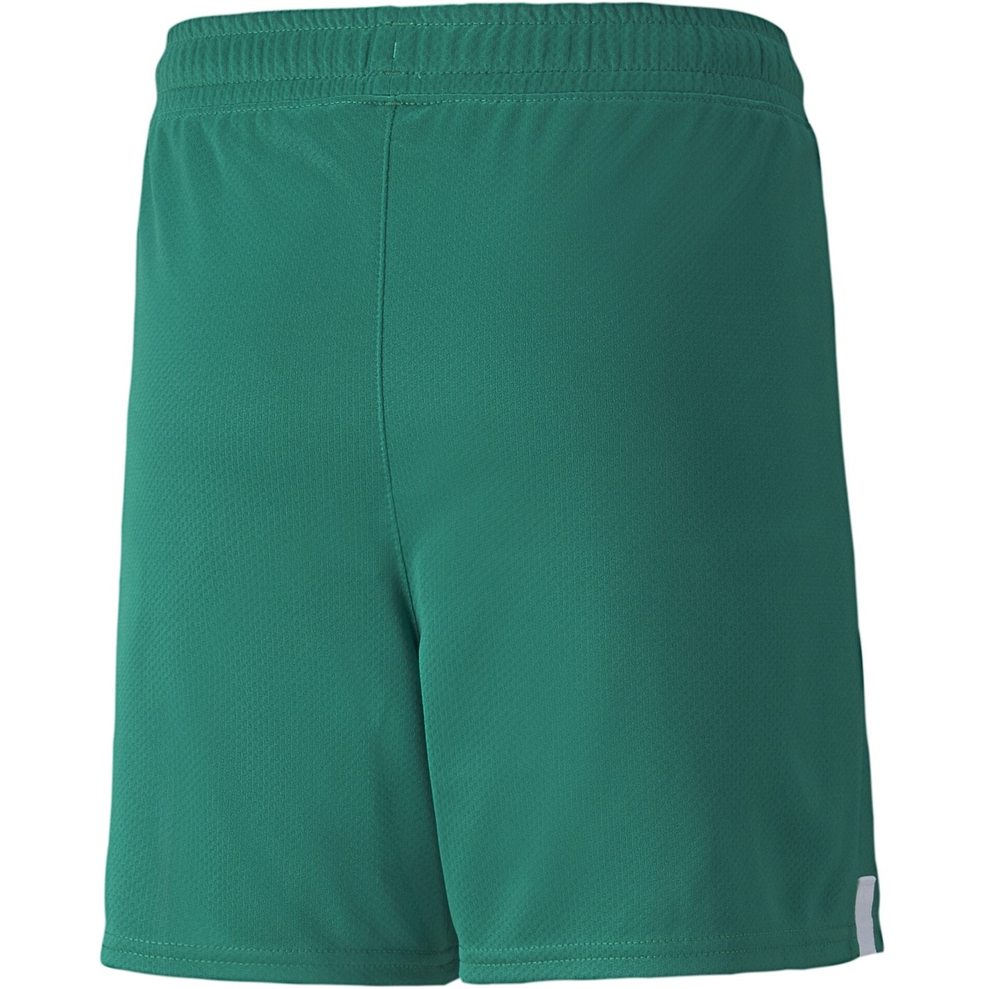 Puma Borussia Dortmund Goalkeeper Shorts Replica Junior