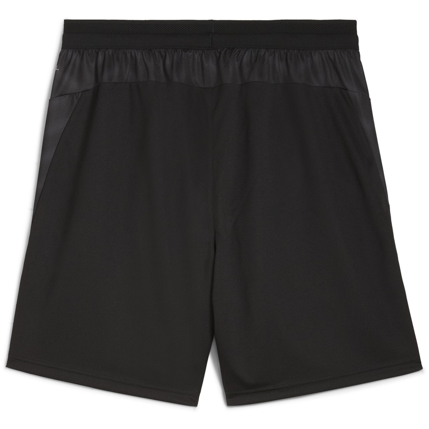Puma Individual Cup Shorts Adults