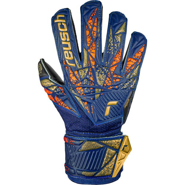 Reusch Atrakt Silver Jn51