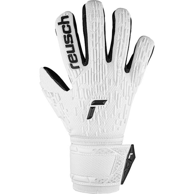Reusch Attrakt Frege Ch99