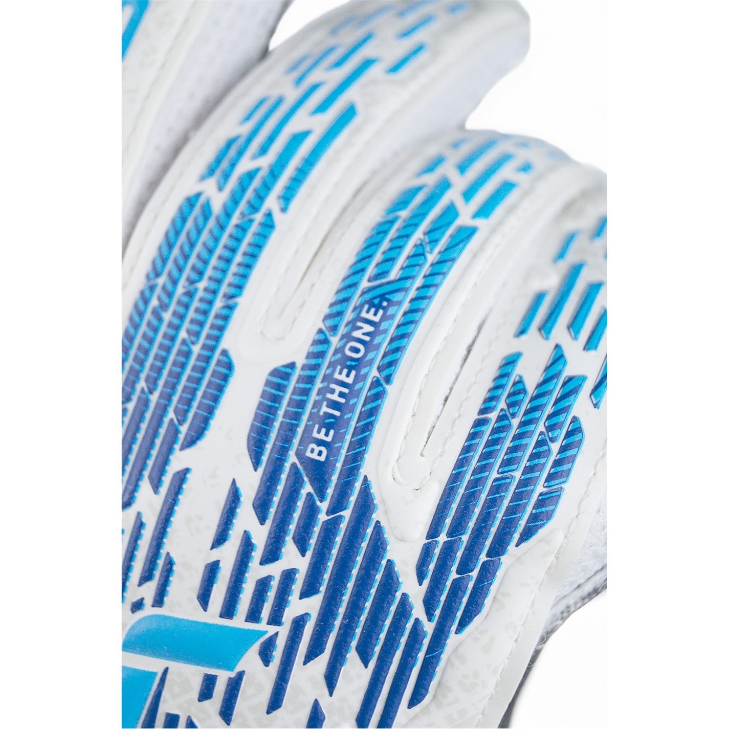 Reusch Attrakt Solid Ch99