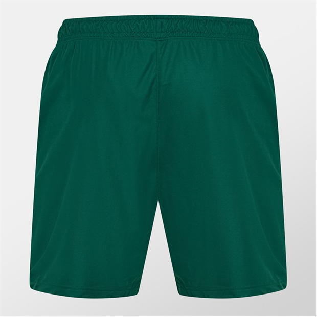 Castore Ireland Training Shorts 2024 Mens