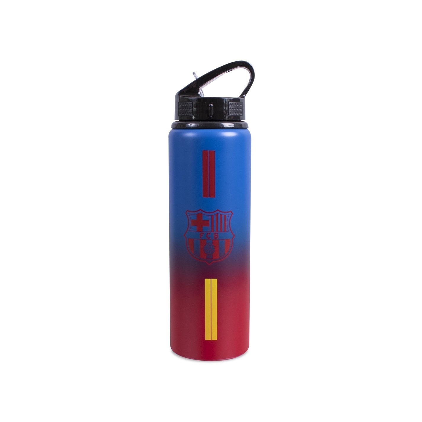 Team Alu Water Bottle