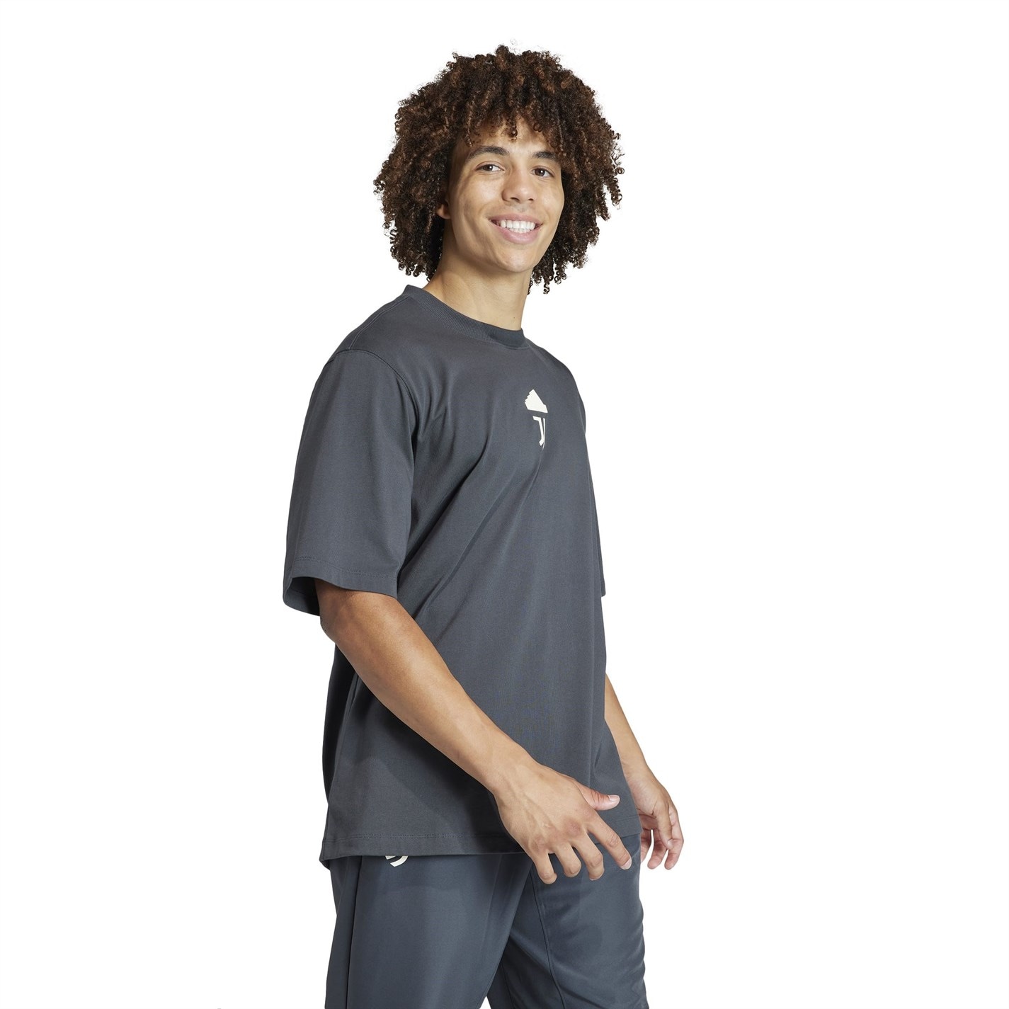 adidas Juventus Lifestyler T-shirt 2023 2024 Adults