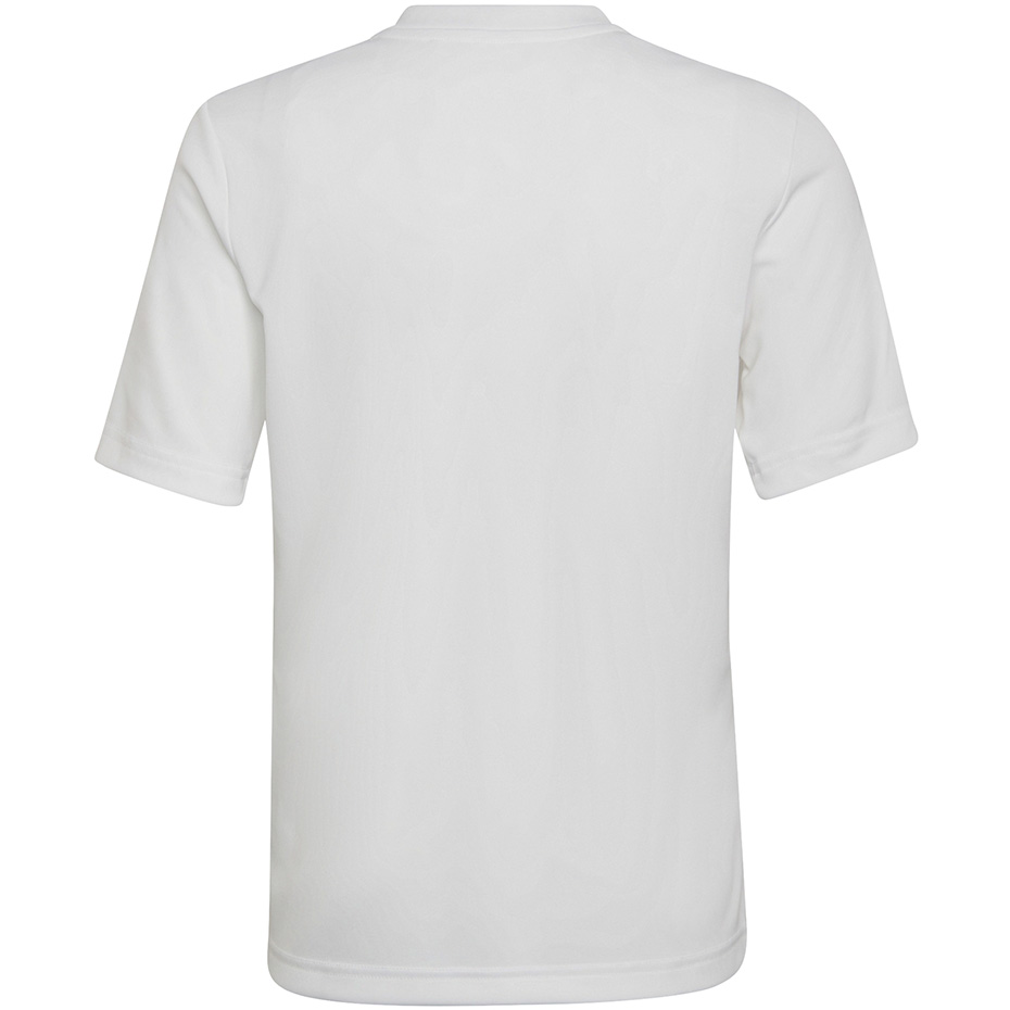 Koszulka dla dzieci adidas Entrada 22 Graphic Jersey biało-szara HF0120