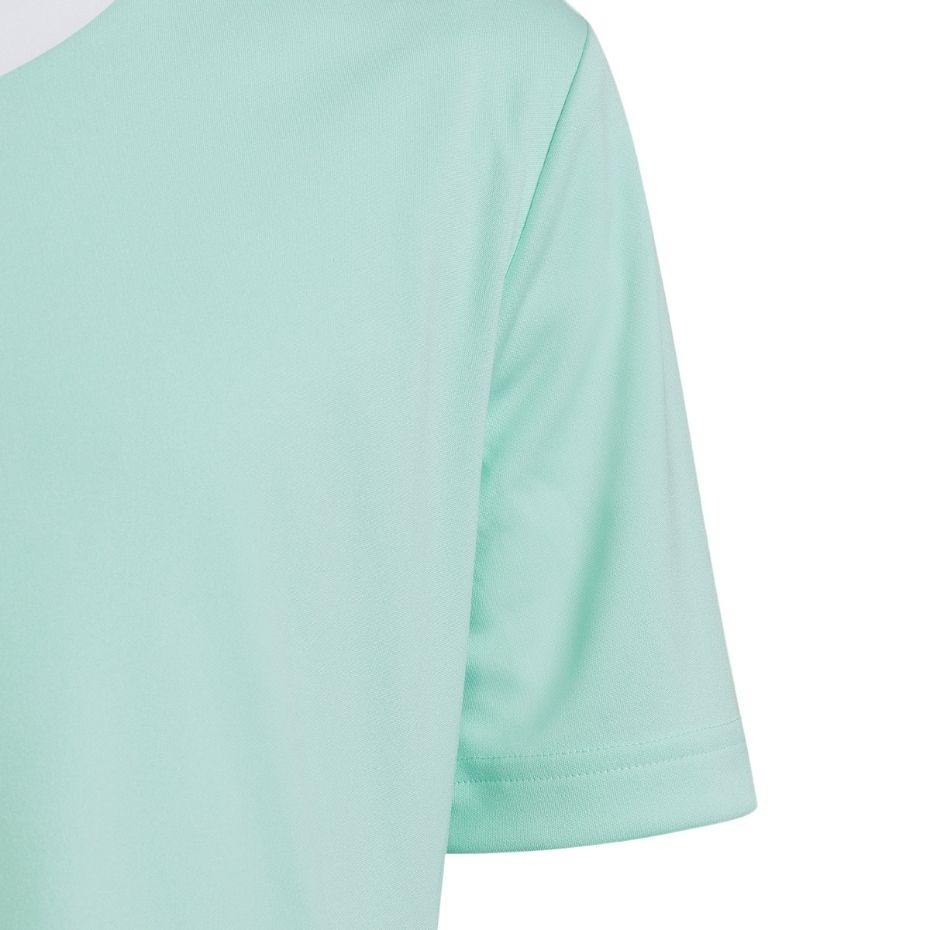 Koszulka dla dzieci adidas Entrada 22 Jersey miętowa HC5078