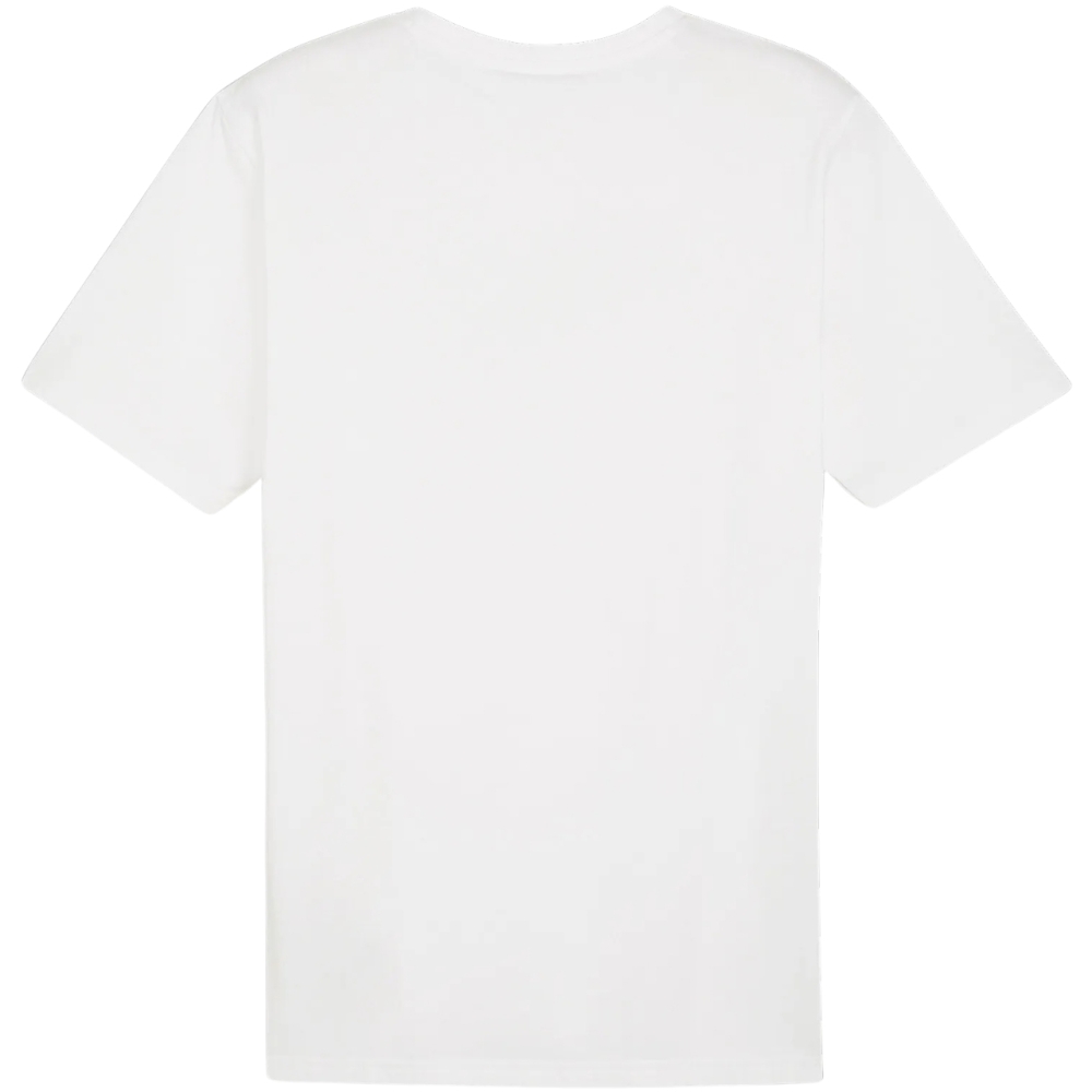 Puma Team Rise Logo Jersey Cotton men's T-shirt white 658705 04