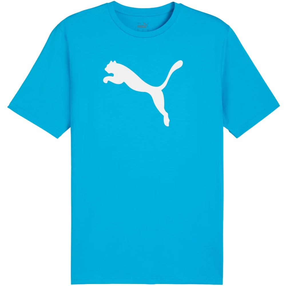 Men's T-shirt Puma Team Rise Logo Jersey Cotton light blue 658705 02